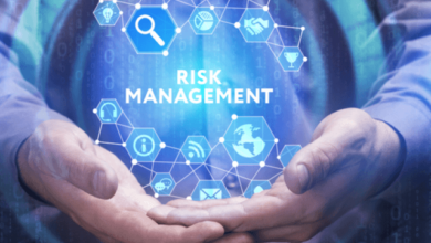 Expert Risk Management Services for Business Protection