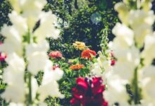 effective bookkeeping for growth