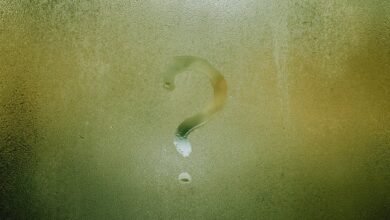 xpthamster technical exploration discussed