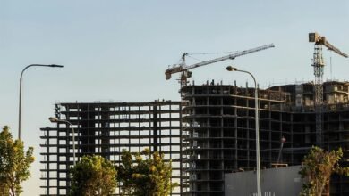 development framework report summary