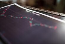 executive insight report summary