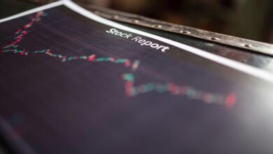 executive insight report summary