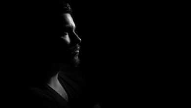 profile highlights and insights