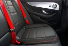 wyrkordehidom overview and safety