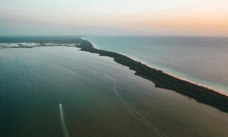 zixyurevay safety concerns outlined