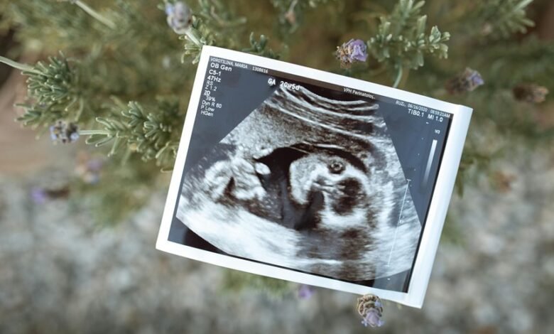 sector growth diagnostics report