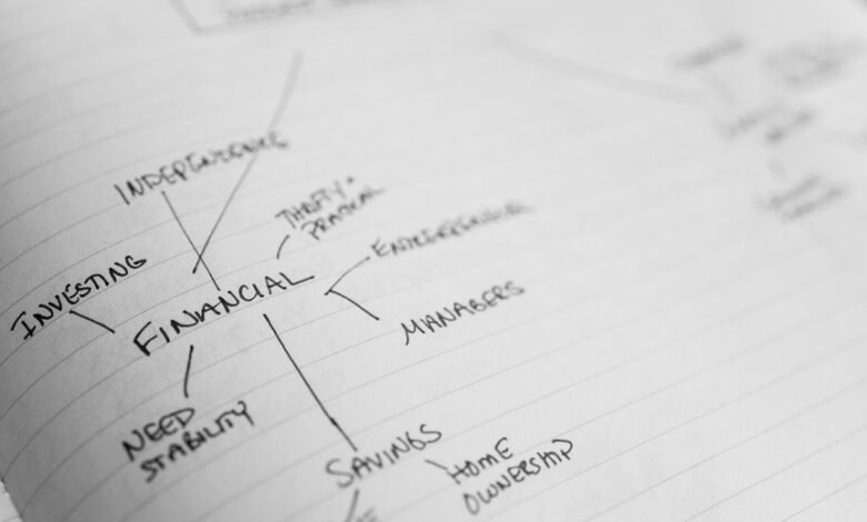 business growth stability plan