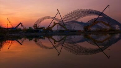 online growth strategy development