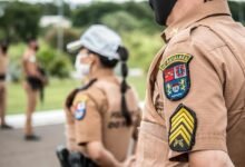 search rankings authority engine