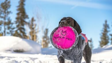 stellar beam hyper node