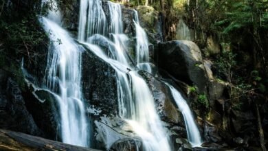 transformative competitive market strategy