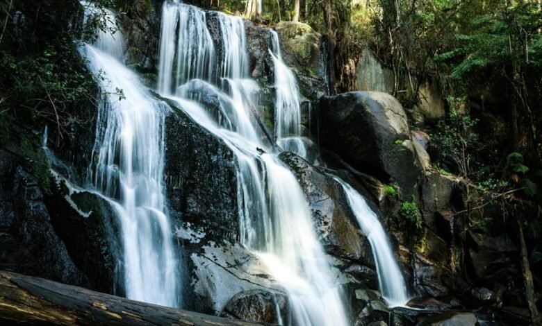 transformative competitive market strategy